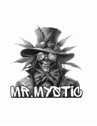 MR. MYSTIC logo