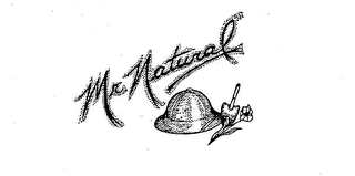 MR. NATURAL logo