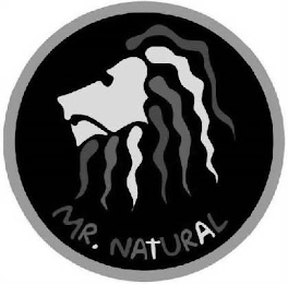 MR NATURAL logo