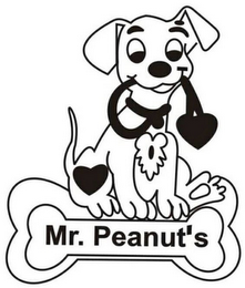 MR. PEANUT'S logo