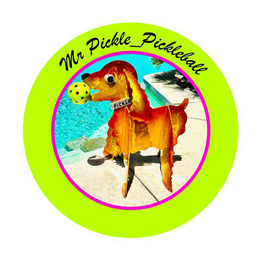 MR PICKLE_PICKLEBALL PICKLE logo