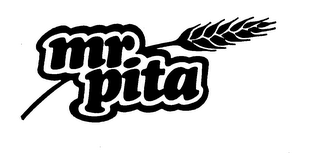 MR. PITA logo