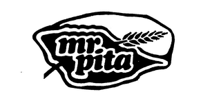 MR. PITA logo