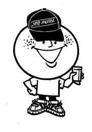 MR. PURE logo