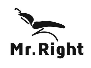 MR. RIGHT logo