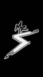 MR. S logo