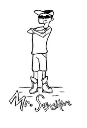 MR. SENSITIVE logo