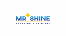 MR. SHINE CLEANING & PAINTING logo
