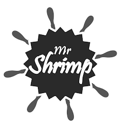 MR SHRIMP logo