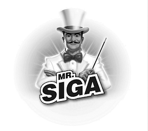 MR. SIGA logo