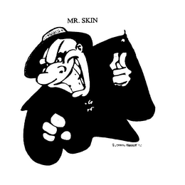 MR. SKIN logo