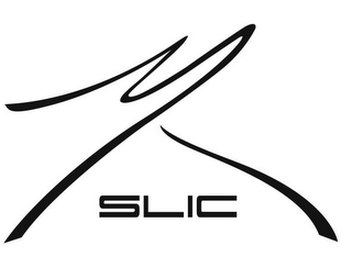 MR SLIC logo