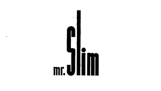 MR. SLIM logo