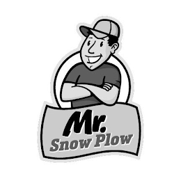 MR. SNOW PLOW logo
