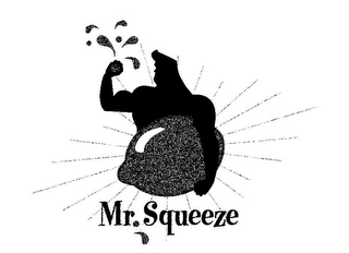 MR. SQUEEZE logo