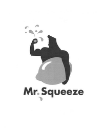 MR. SQUEEZE logo