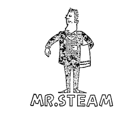 MR. STEAM