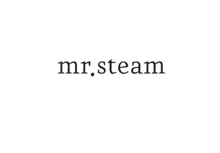 MR. STEAM logo