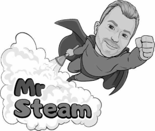 MR STEAM logo