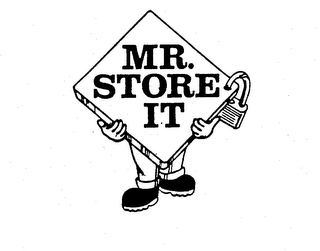 MR. STORE IT logo