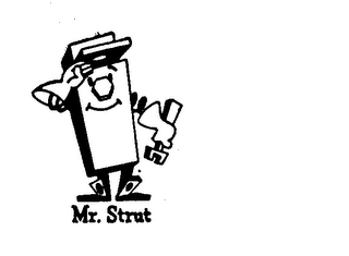MR. STRUT logo