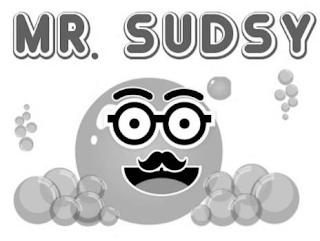MR. SUDSY logo