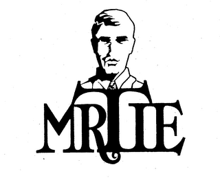 MR TIE logo