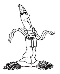 MR. TURF CASPA logo