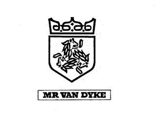 MR VAN DYKE logo