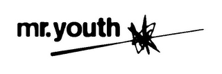 MR. YOUTH logo