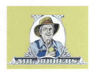 MR.BIBBERS logo