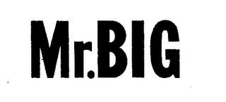 MR.BIG logo
