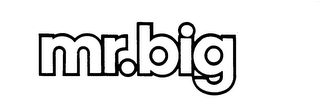 MR.BIG logo