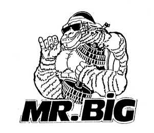 MR.BIG logo