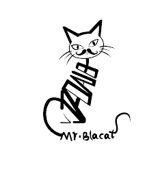 MR.BLACAT logo