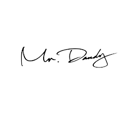 MR.DANDY logo