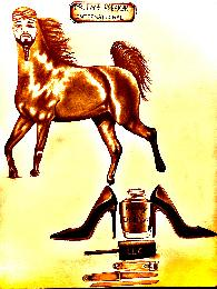 MR.FEETFREAKER INTERNATIONAL $TYLEZ&DE$IGNZ-4-HER LLC logo