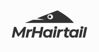 MRHAIRTAIL logo