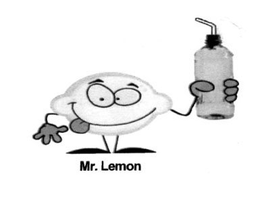 MR.LEMON logo