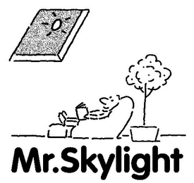 MR.SKYLIGHT logo