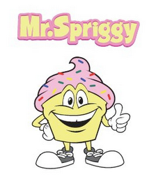 MR.SPRIGGY logo