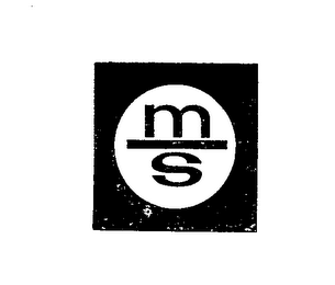 MS logo