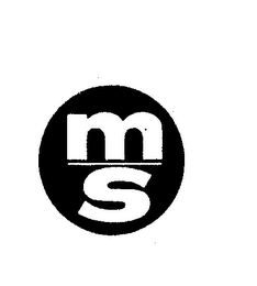 MS logo
