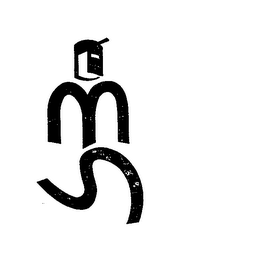 MS logo
