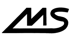 MS logo