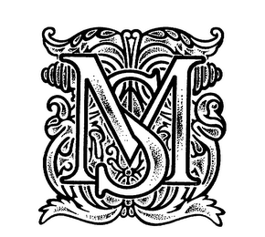 MS logo