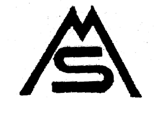 MS logo
