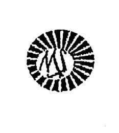 MS logo