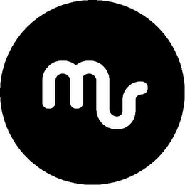 MS logo