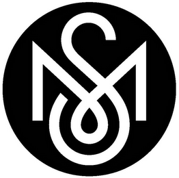 MS logo